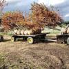 Hauling trees out of the field for customer pick up.